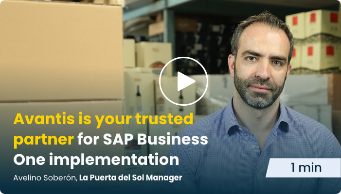 sap-business-one-implementation-thumb-ave